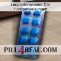 Leopard Miracle Of Honey Instructions viagra1